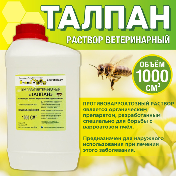 Talpan 